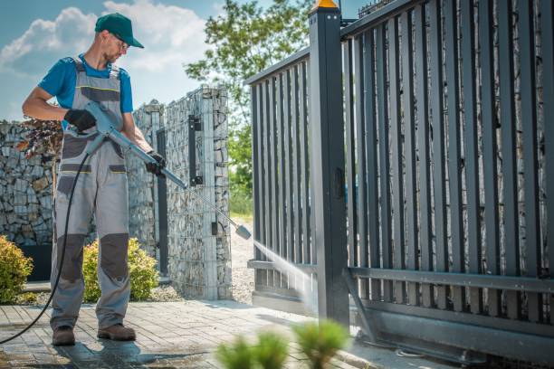 Best Sidewalk and Walkway Cleaning  in Albany, CA